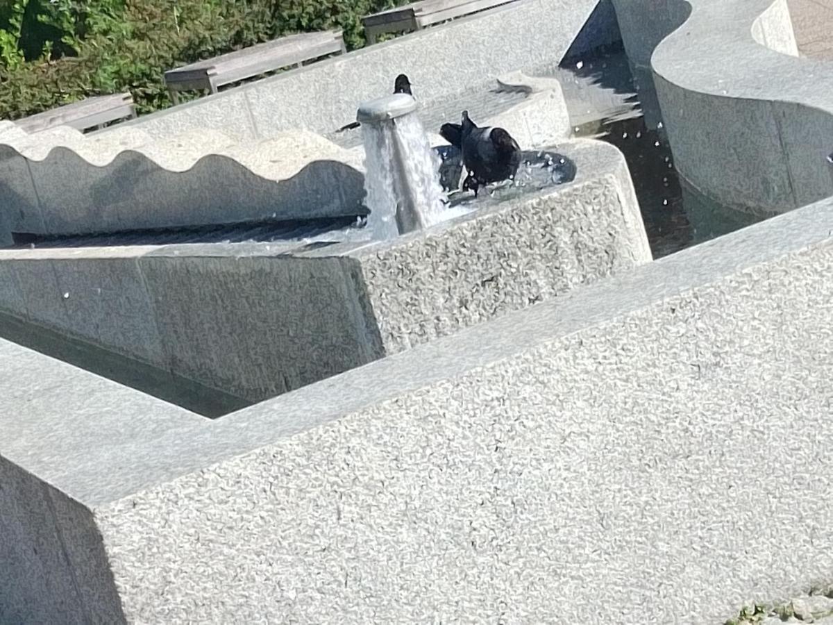 Dreapart Pruszcz Gdanski Pruszcz Gdański Exterior foto